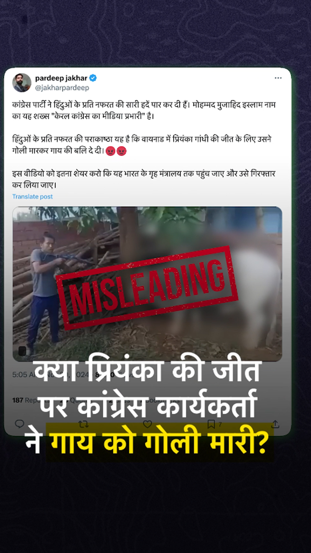 FACT CHECK: क्या Priyanka Gandhi की जीत पर Congress कार्यकर्ता ने गाय को गोली मारी?