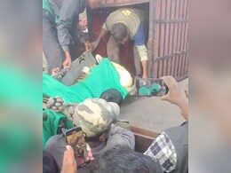 Tiger Rescue: सरगुजा वन विभाग को मिली बड़ी सफलता, भटकी हुई बाघिन का एक हफ्ते बाद ऐसे हुआ रेस्क्यू Tiger Rescue: सरगुजा वन विभाग को मिली बड़ी सफलता, भटकी हुई बाघिन का एक हफ्ते बाद ऐसे हुआ रेस्क्यू