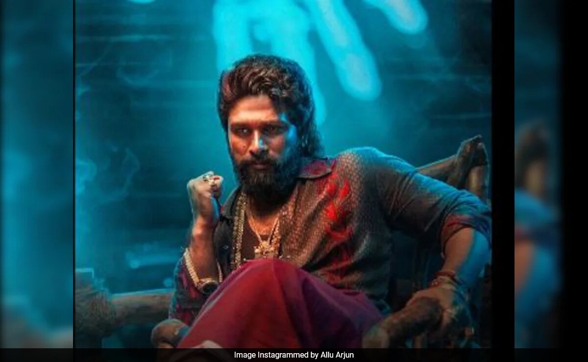 Weekend Binge: Liked <i>Pushpa 2: The Rule</i>? Watch These Allu Arjun Movies Next