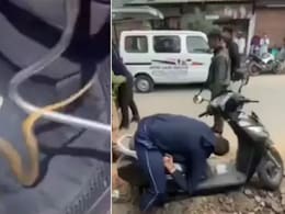 स्कूटी चलाते चलाते अचानक से बेहोश हो गया शख्स, हेलमेट खोला तो अंदर का नजारा देख निकल गईं लोगों की चीखें स्कूटी चलाते चलाते अचानक से बेहोश हो गया शख्स, हेलमेट खोला तो अंदर का नजारा देख निकल गईं लोगों की चीखें