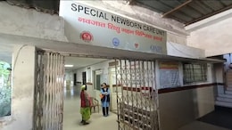 Betul News : दुर्लभ बच्चें ने लिया जन्म, जलपरी की तरह जुड़े थे दोनों पैर, दस घंटे बाद हुई मौत