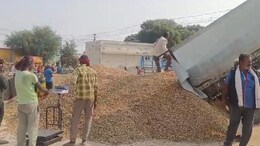 बंपर उपज के बाद मूंगफली की उचित सरकारी खरीद से किसान मालामाल, बाजार भाव से अधिक मिल रहा सरकारी रेट