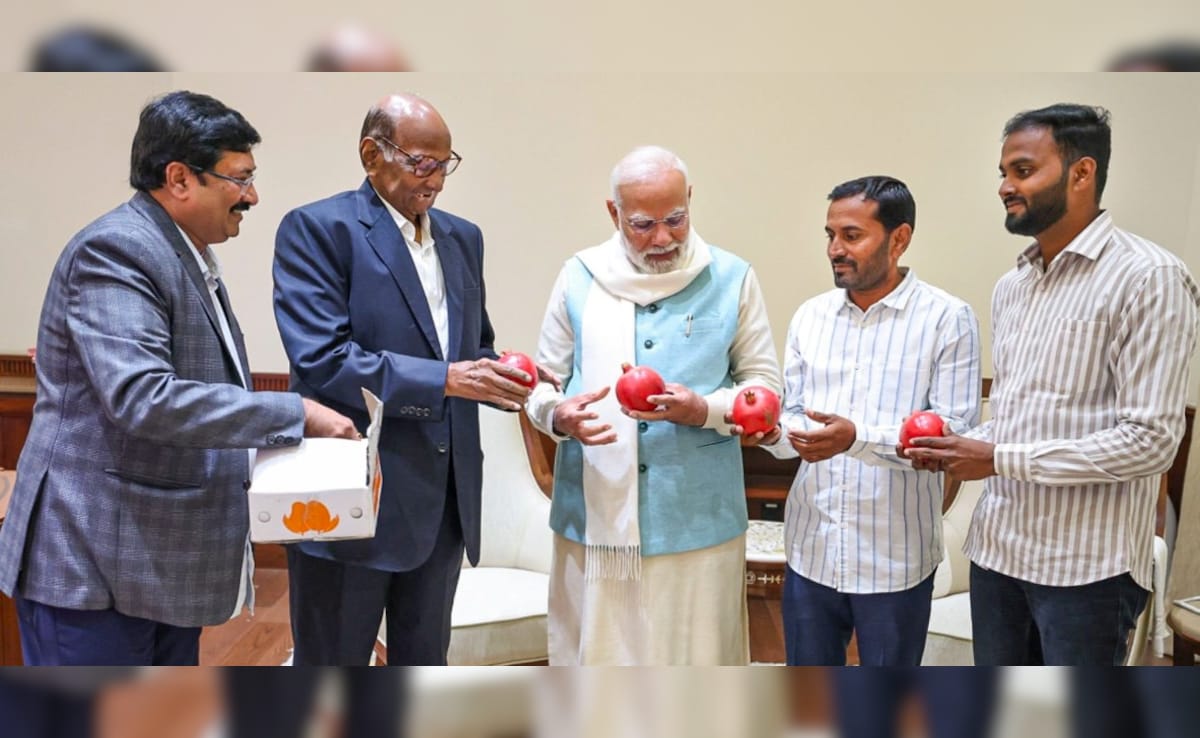 Latest and Breaking News on NDTV