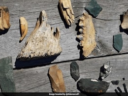 पूर्वी एशिया में 300,000 साल पहले रहते थे ये बड़े सिर वाले अनोखे इंसान, बेहद हैरान करने वाला है इनका इतिहास पूर्वी एशिया में 300,000 साल पहले रहते थे ये बड़े सिर वाले अनोखे इंसान, बेहद हैरान करने वाला है इनका इतिहास