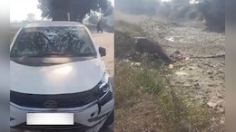 3 Injured After "Shortcut" On Google Maps Lands Them In UP Canal
