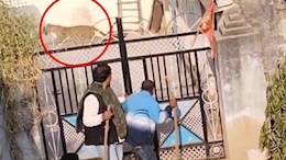 Rajasthan: पैंथर हमले से बाल-बाल बचे राजेंद्र सिंह गुढ़ा, लठ लेकर ग्रामीणों के साथ तलाश करने निकले थे पूर्व मंत्री