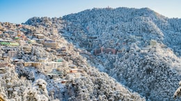 Shimla Sees Its First December Snow In 20 Years, Lowest Temperature Hits 2.5 Degrees Celsius