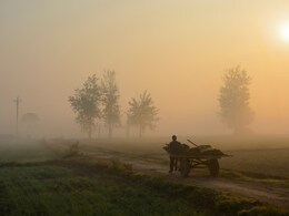 Rajasthan Weather: कोहरा, बारिश और ओलावृष्टि, राजस्थान में मौसम विभाग का येलो अलर्ट जारी; जानें अपने शहर का हाल