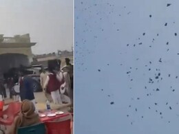 दूल्हे के पिता ने किराए का प्लेन लेकर बहू के घर पर करवाई नोटों की बरसात, पाकिस्तान का ये Video देख फटी रह जाएंगी आंखें दूल्हे के पिता ने किराए का प्लेन लेकर बहू के घर पर करवाई नोटों की बरसात, पाकिस्तान का ये Video देख फटी रह जाएंगी आंखें