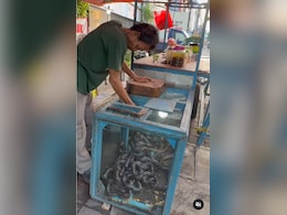 "Snake As A Snack"? Indian Vlogger's Discovery In Indonesia Has Shocked The Internet