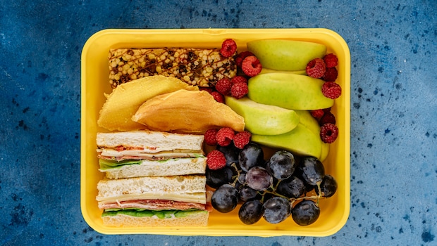Warm Meals On The Go: How Does Electric Tiffin Boxes Keep The Food Warm For Long?