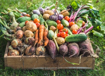 5 Simple Ways To Make Root Vegetables Spotlessly Clean 5 Simple Ways To Make Root Vegetables Spotlessly Clean