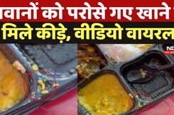 Bilapur News: जवानों को परोसे गए खानेमें दिखे कीड़े, जानें क्या है मामला? | Forest Guard