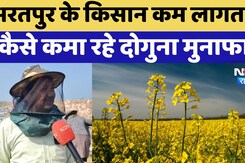 Bharatpur के Farmer कम लागत से कैसे कमा रहे दोगुना मुनाफा?, जानिए असली वजह Bharatpur के Farmer कम लागत से कैसे कमा रहे दोगुना मुनाफा?, जानिए असली वजह