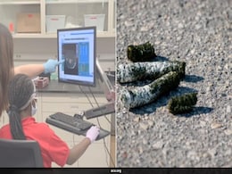 Student's Science Project With Bird Poop Leads To Discovery Of Cancer-Fighting Compound Student's Science Project With Bird Poop Leads To Discovery Of Cancer-Fighting Compound