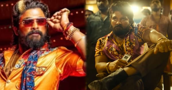 Pushpa 2: Fan Frenzy, High Ticket Prices, Wide Release