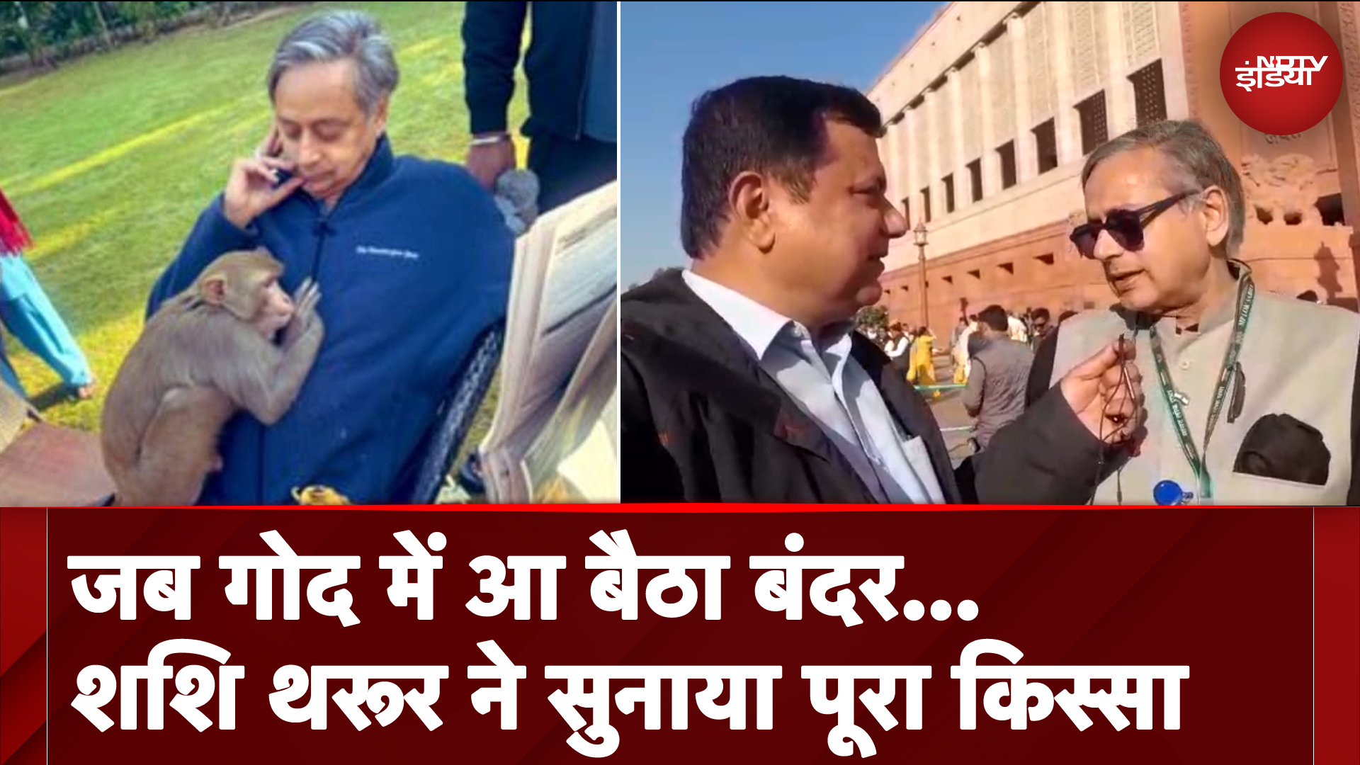 Shashi Tharoor To NDTV | जब गोद में आ बैठा बंदर... शशि थरूर ने सुनाया पूरा किस्सा