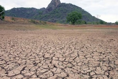 2024 Will Be The Hottest Year On Record, EU Scientists Say 2024 Will Be The Hottest Year On Record, EU Scientists Say