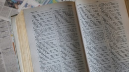 'Babysitter, Barbiecore...": British Council Releases 90 English Words That Define Last 9 Decades