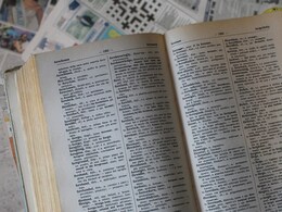 'Babysitter, Barbiecore...": British Council Releases 90 English Words That Define Last 9 Decades