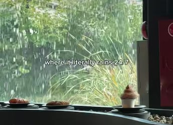 Watch: Rain-Themed Cafe In South Korea Goes Viral. Internet Says,  Watch: Rain-Themed Cafe In South Korea Goes Viral. Internet Says,