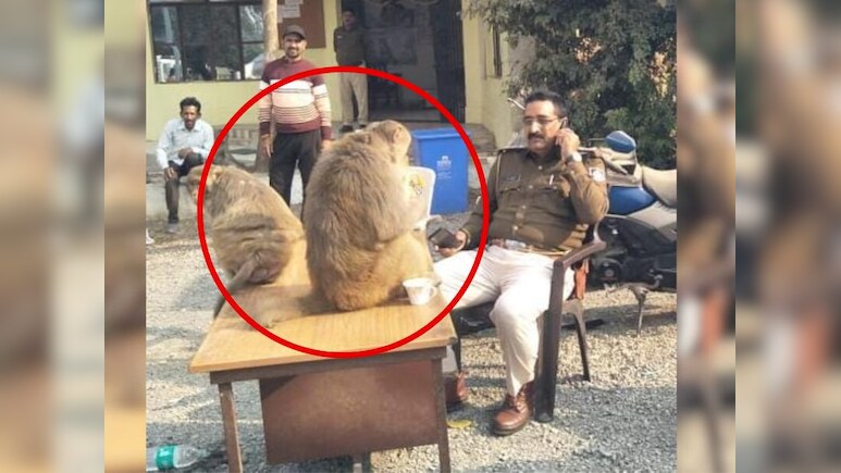 12 साल बाद शुरू हुई जनसुनवाई तो अफसरों से पहले पहुंच गए 'बजरंगबली के दूत'