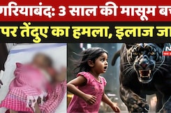 Gariyaband Panther Attack: 3 साल की मासूम बच्ची पर तेंदुए का हमला, इलाज जारी Gariyaband Panther Attack: 3 साल की मासूम बच्ची पर तेंदुए का हमला, इलाज जारी