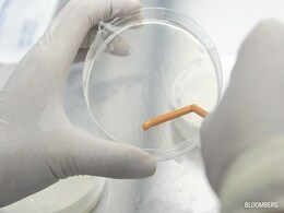 Mysterious 'Disease X' Outbreak Widens, UN Sends Health Team To Congo Mysterious 'Disease X' Outbreak Widens, UN Sends Health Team To Congo