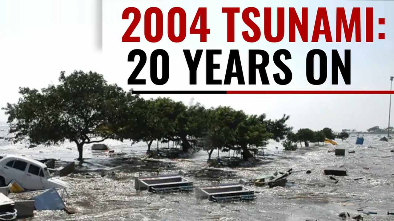 Tsunami tracker reddit