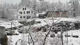 Avalanche Alert Issued For High Altitude Areas In Himachal Pradesh