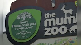 Mumbai News: बच्चे कंपनीसाठी खूशखबर! राणीची बाग नाताळ निमित्त खुली राहाणार