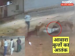 खूंखार कुत्तों के झुंड ने युवती पर अटैक कर ऐसे गिराया, खौफनाक वीडियो देख सहम जाएगा आपका दिल