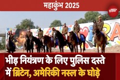 Maha Kumbh 2025 में आए American और England Breed के Horses, Army ने दी 6 महीने की ट्रेनिंग Maha Kumbh 2025 में आए American और England Breed के Horses, Army ने दी 6 महीने की ट्रेनिंग