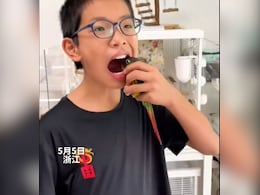 डॉक्टर की जगह तोते ने निकाला बच्चे का सड़ा हुआ दांत, Video देख हैरान हो रहे यूजर्स, बोले- पंख वाला डेंटिस्ट डॉक्टर की जगह तोते ने निकाला बच्चे का सड़ा हुआ दांत, Video देख हैरान हो रहे यूजर्स, बोले- पंख वाला डेंटिस्ट