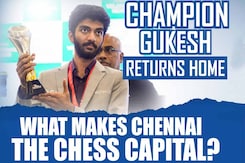 D Gukesh, The Champ From Chennai: What Makes The City Tick On Chessboard? D Gukesh, The Champ From Chennai: What Makes The City Tick On Chessboard?
