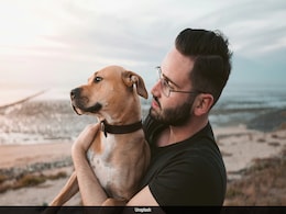 Popular Dog Arthritis Medication May Have Severe Side Effects, FDA Says Popular Dog Arthritis Medication May Have Severe Side Effects, FDA Says
