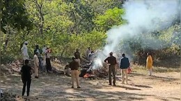 खतरे में वन्य जीव: मैहर के बाद अब&nbsp;बड़वानी में तेंदुए की मौत, सामने आई ये वजह