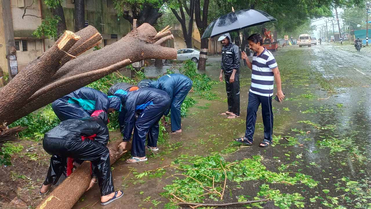 3 Dead In Chennai As Cyclone Fengal Brings Heavy Rain