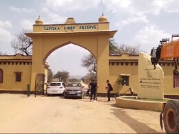 New Year Picnic: सरिस्का टाइगर रिजर्व में मनाना चाहते हैं नये साल की पिकनिक तो पहले पढ़ लें यह खबर