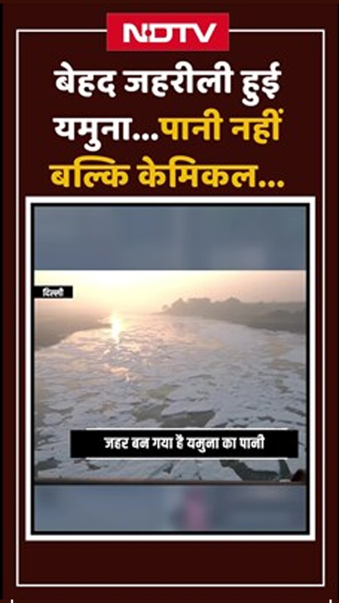 Video: Yamuna के हालात बेहद खतरनाक, नदी में तैरता हुआ दिखाई दे रहा है जहरीला झाग | Shorts