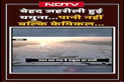 Yamuna के हालात बेहद खतरनाक, नदी में तैरता हुआ दिखाई दे रहा है जहरीला झाग | Shorts Yamuna के हालात बेहद खतरनाक, नदी में तैरता हुआ दिखाई दे रहा है जहरीला झाग | Shorts