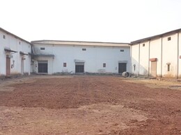 Dhan Kharidi: Jabalpur के कई धान खरीदी केंद्रों में पसरा सन्नाटा, जानिए अब तक क्यों नहीं पहुंचे किसान?