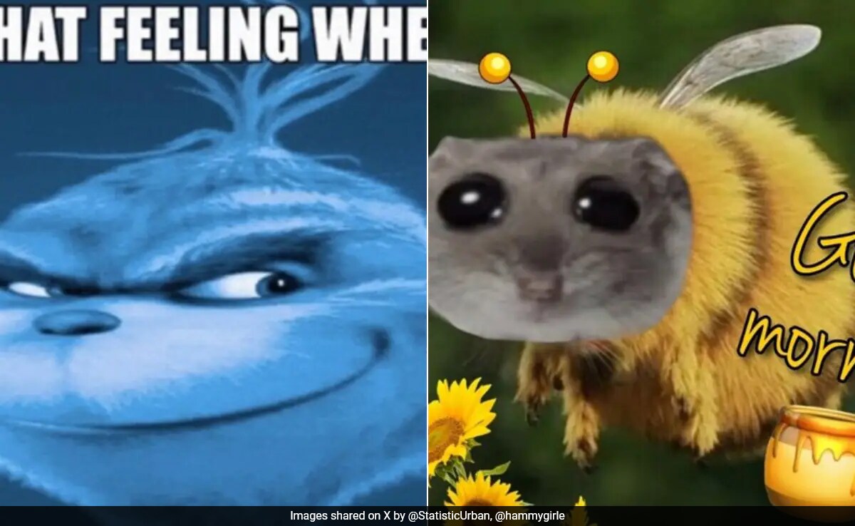 Internet Memes 2024