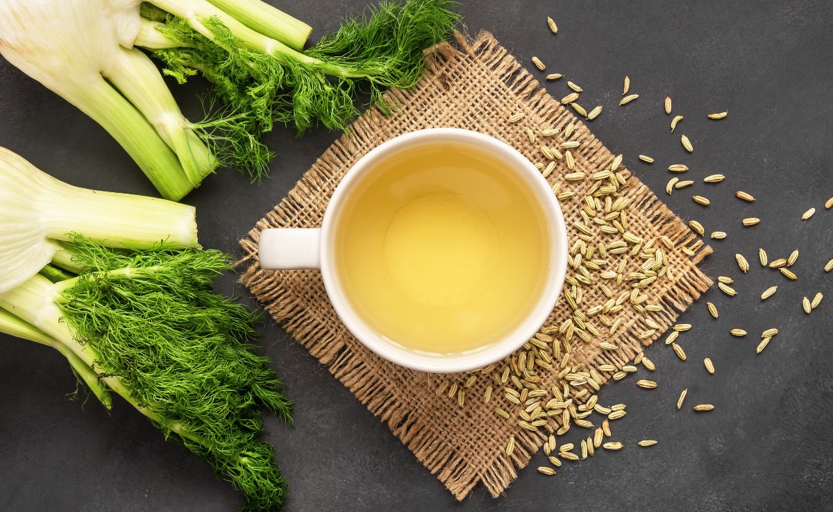 Fennel seed water stimulates the secretion of digestive juices