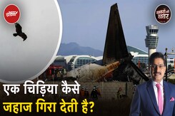 Plane Crashes के पीछे Bird Strike की कैसे होती है बहुत खतरनाक भूमिका और बचाव के लिए क्या है उपाय? Plane Crashes के पीछे Bird Strike की कैसे होती है बहुत खतरनाक भूमिका और बचाव के लिए क्या है उपाय?