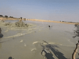 जैसलमेर में धरती से कैसे फूटा पानी का इतना बड़ा फव्वारा! जानें सरस्वती नदी की क्यों हो रही इतनी चर्चा जैसलमेर में धरती से कैसे फूटा पानी का इतना बड़ा फव्वारा! जानें सरस्वती नदी की क्यों हो रही इतनी चर्चा