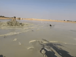 VIDEO : वाळवंटात बोअर खोदली, भलमोठं कारजं पाहून धक्का; लुप्त झालेली सरस्वती नदी प्रकटल्याची चर्चा