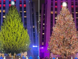 क्रिसमस पर घर लाएं 6 फीट का खूबसूरत क्रिसमस ट्री, यहां मिल रहा भारी डिस्काउंट