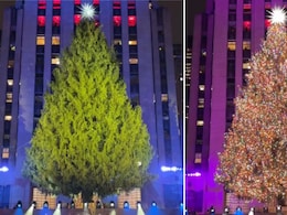 50 हजार रंग बिरंगी रोशनियों से जगमगाया रॉकफेलर सेंटर का आइकॉनिक Christmas Tree, सितारों से सजी शाम के साथ हुआ फेस्टिव सीजन का आगाज 50 हजार रंग बिरंगी रोशनियों से जगमगाया रॉकफेलर सेंटर का आइकॉनिक Christmas Tree, सितारों से सजी शाम के साथ हुआ फेस्टिव सीजन का आगाज