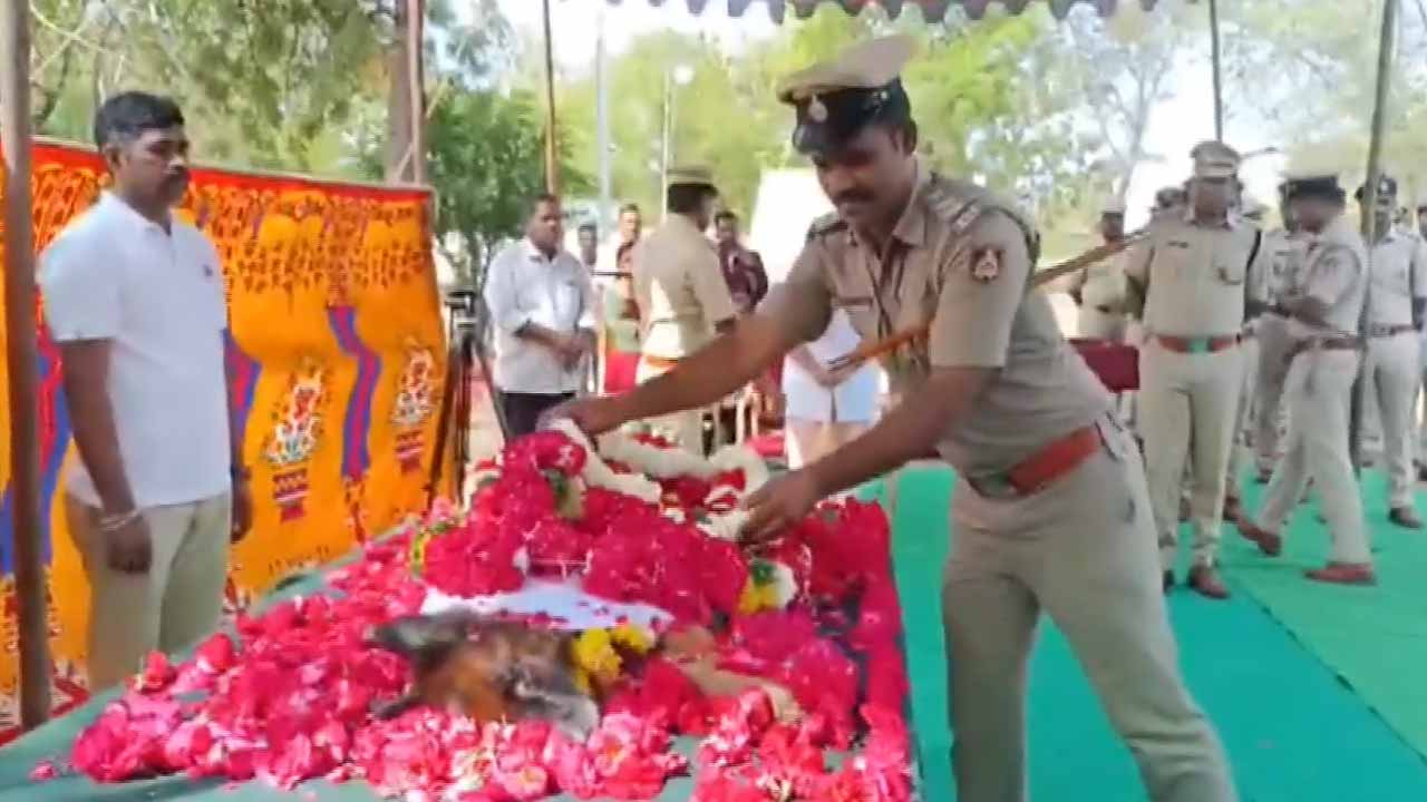 Karnataka Police Bids Farewell To Dog 'Rita' Who Solved Over 900 Cases